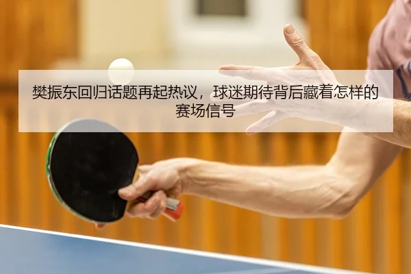 樊振东回归话题再起热议，球迷期待背后藏着怎样的赛场信号
